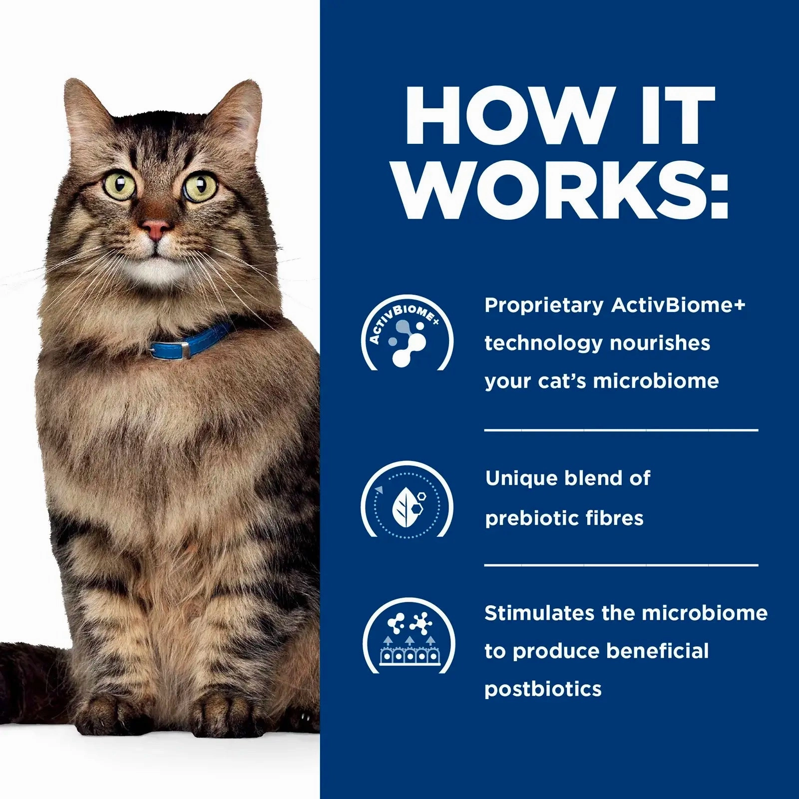 Hill's Prescription Diet - Feline Gastrointestinal Biome Stress