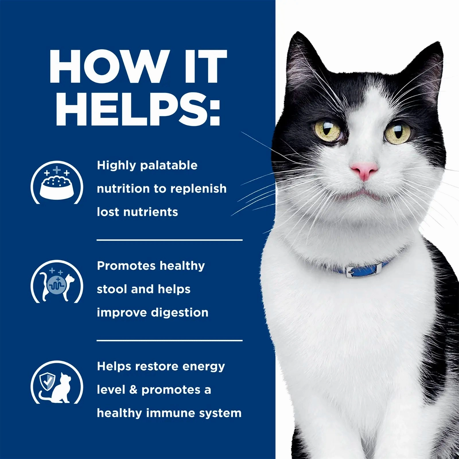 Hill's Prescription Diet - Feline i/d Digestive Care 4lbs