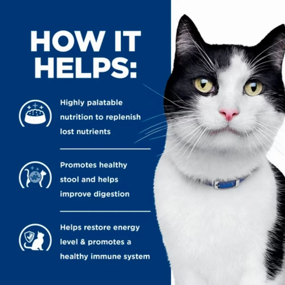 Hill's Prescription Diet - Feline i/d Digestive Care 5.5oz