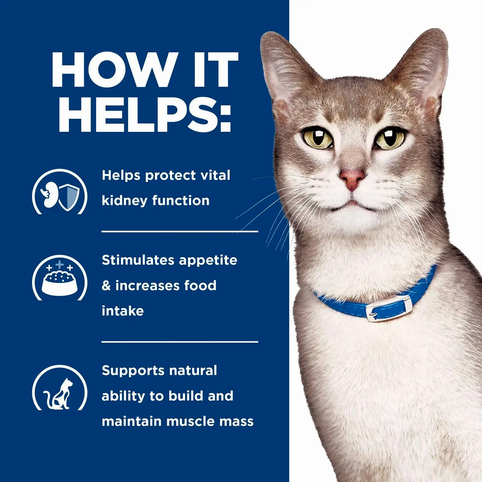 Hill's Prescription Diet - Feline k/d Kidney Care