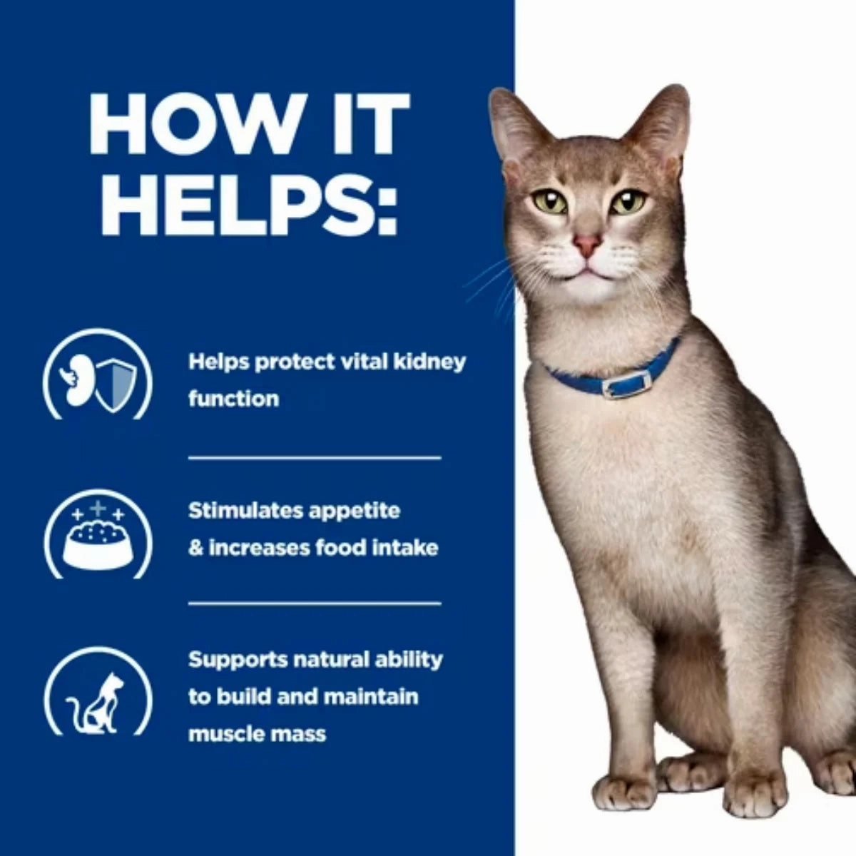 Hill's Prescription Diet - Feline k/d Kidney Care Pouch with Chicken 85g