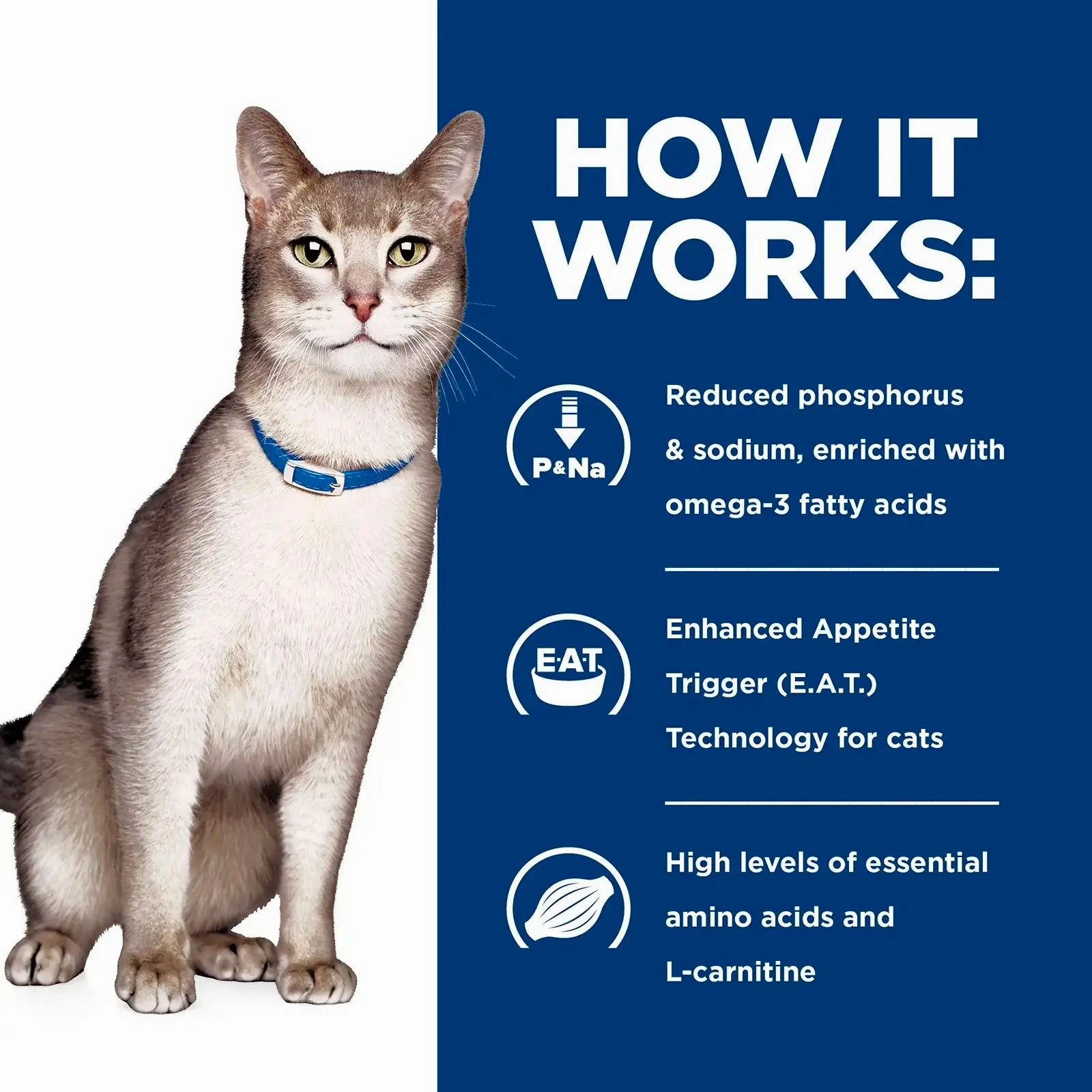 Hill's Prescription Diet - Feline k/d Kidney Care