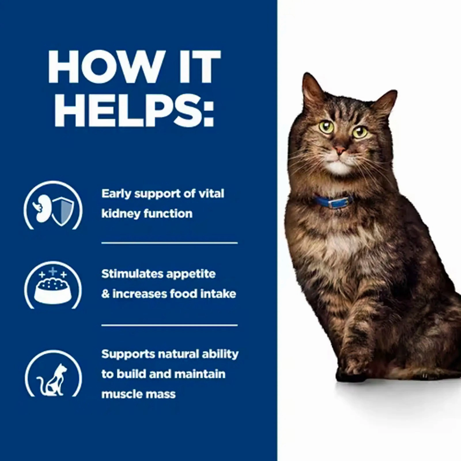 Hill's Prescription Diet - Feline k/d "Early Support" with Chicken