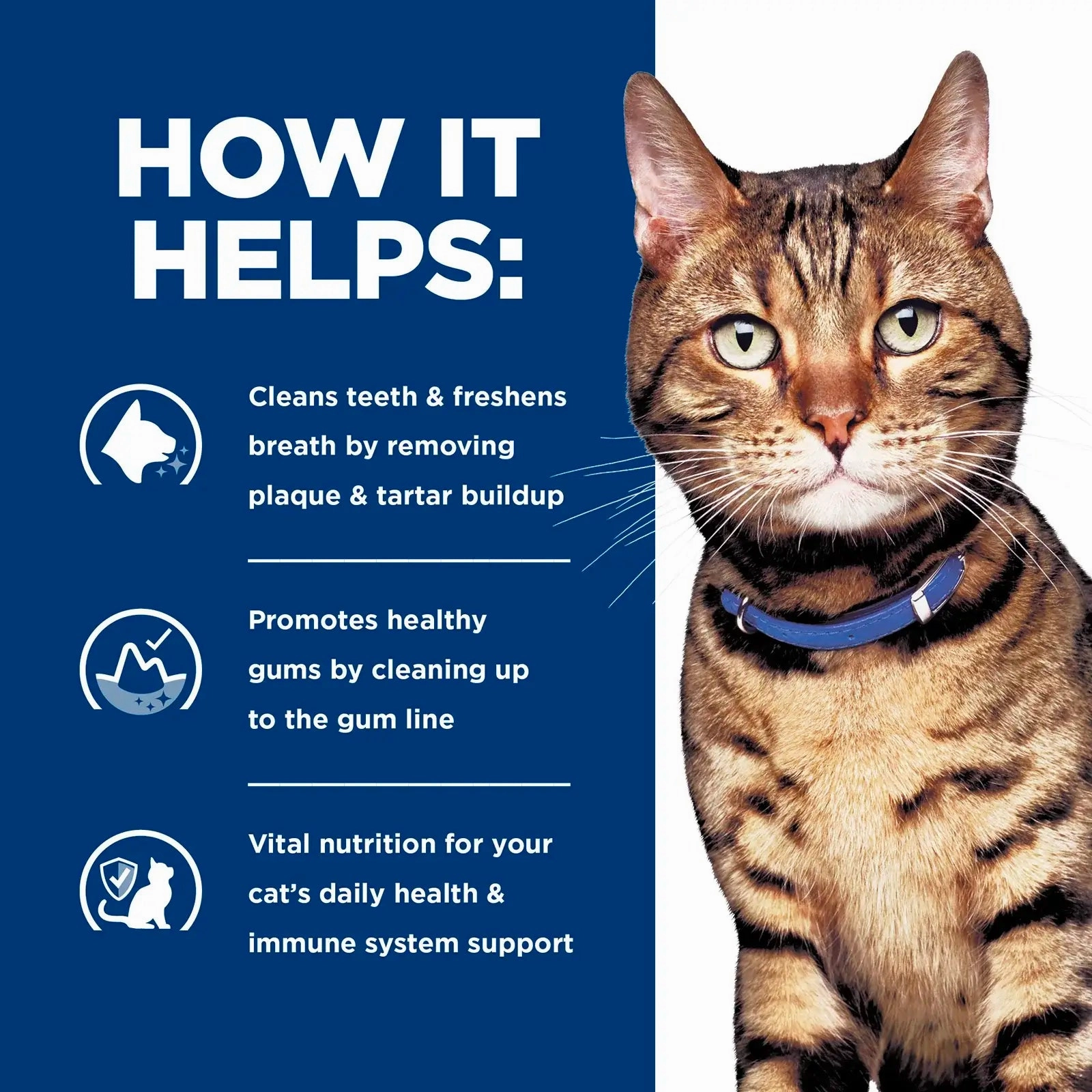 Hill's Prescription Diet - Feline t/d Dental Care