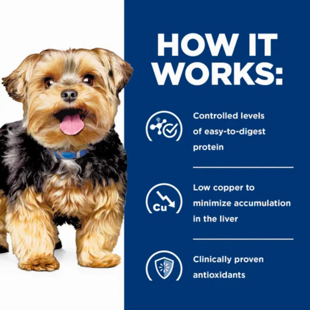 Hill's Prescription Diet - l/d Canine Liver Care Canned 13oz