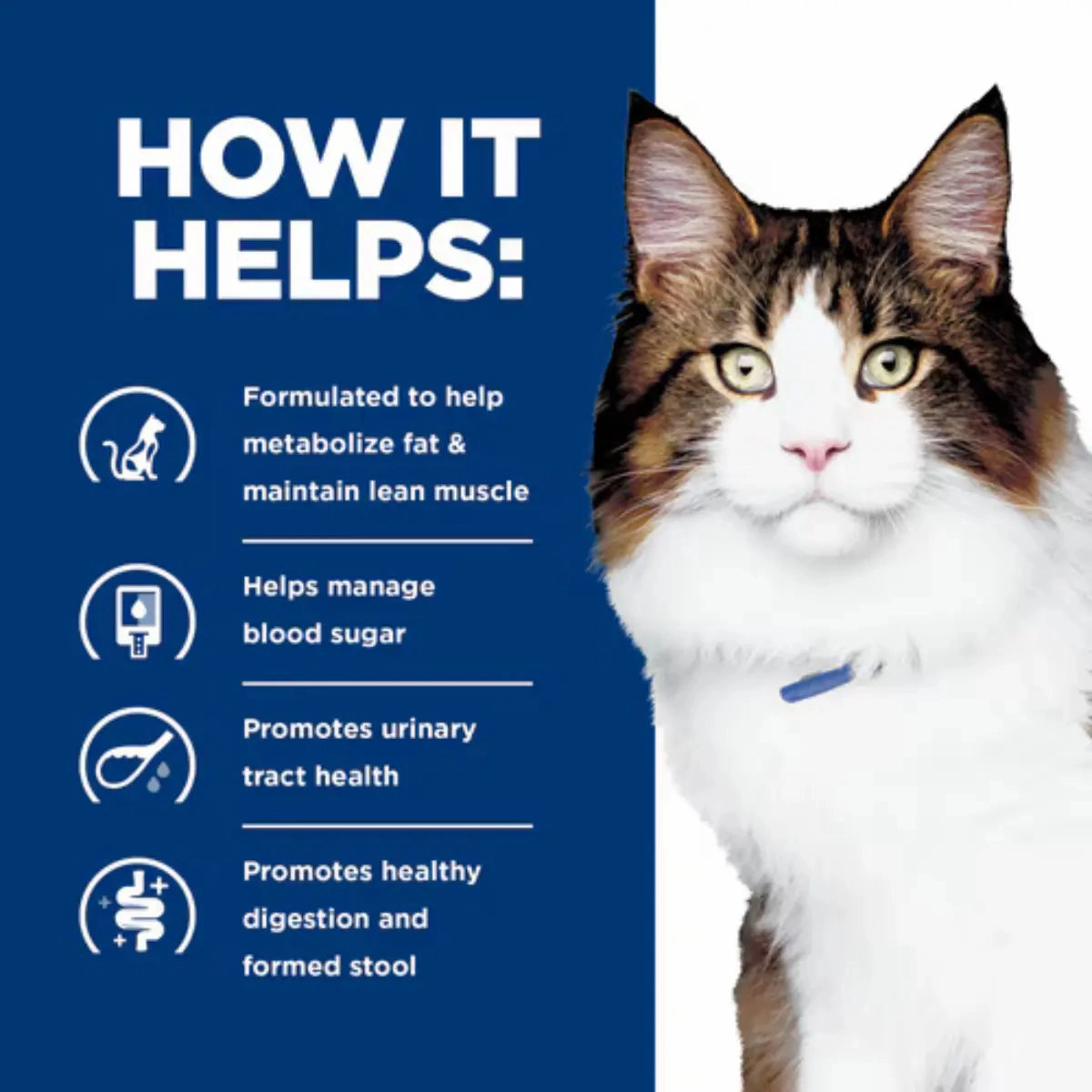 Hill's Prescription Diet - w/d Feline Multi-Benefit Digestive/Weight/Glucose/Urinary Management with Chicken