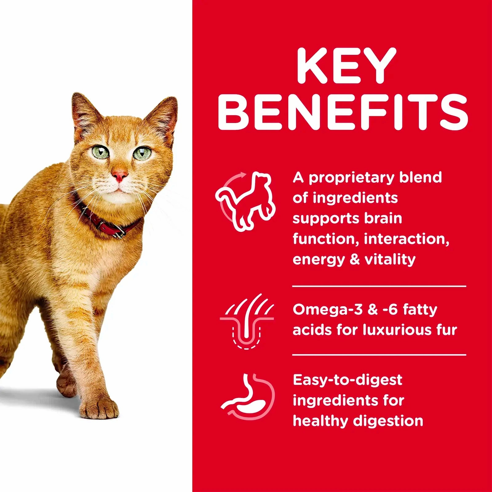 Hill's Science Diet (Specialty) - Feline Adult 7  Vitality Chicken & Rice