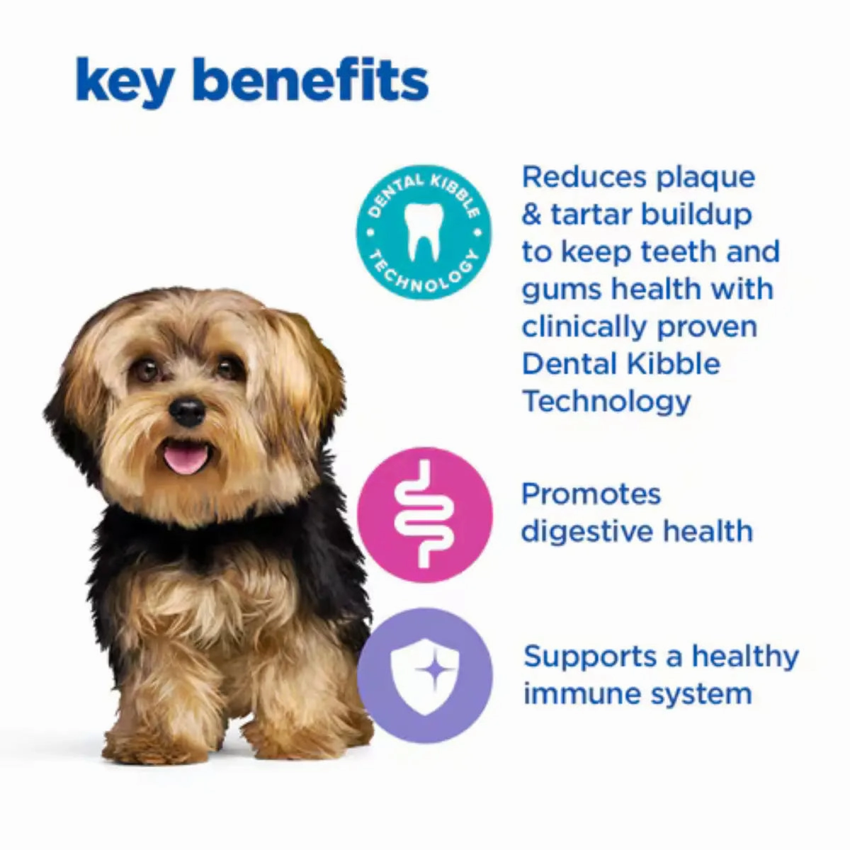 Hill's VetEssentials Diet - Canine Multi Benefit Dental Adult "Small & Mini" Dry Food 2kg