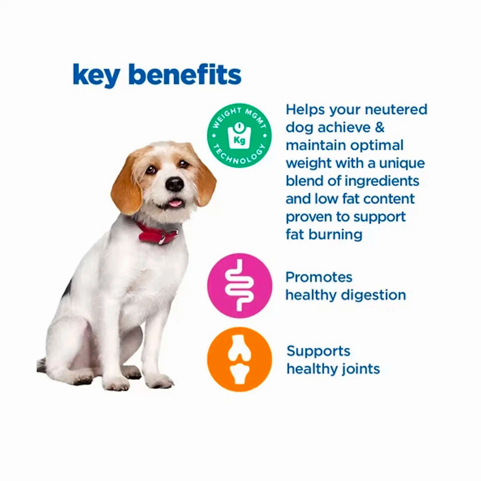 Hill's VetEssentials Diet - Canine Neutered Adult "Medium" 2kg