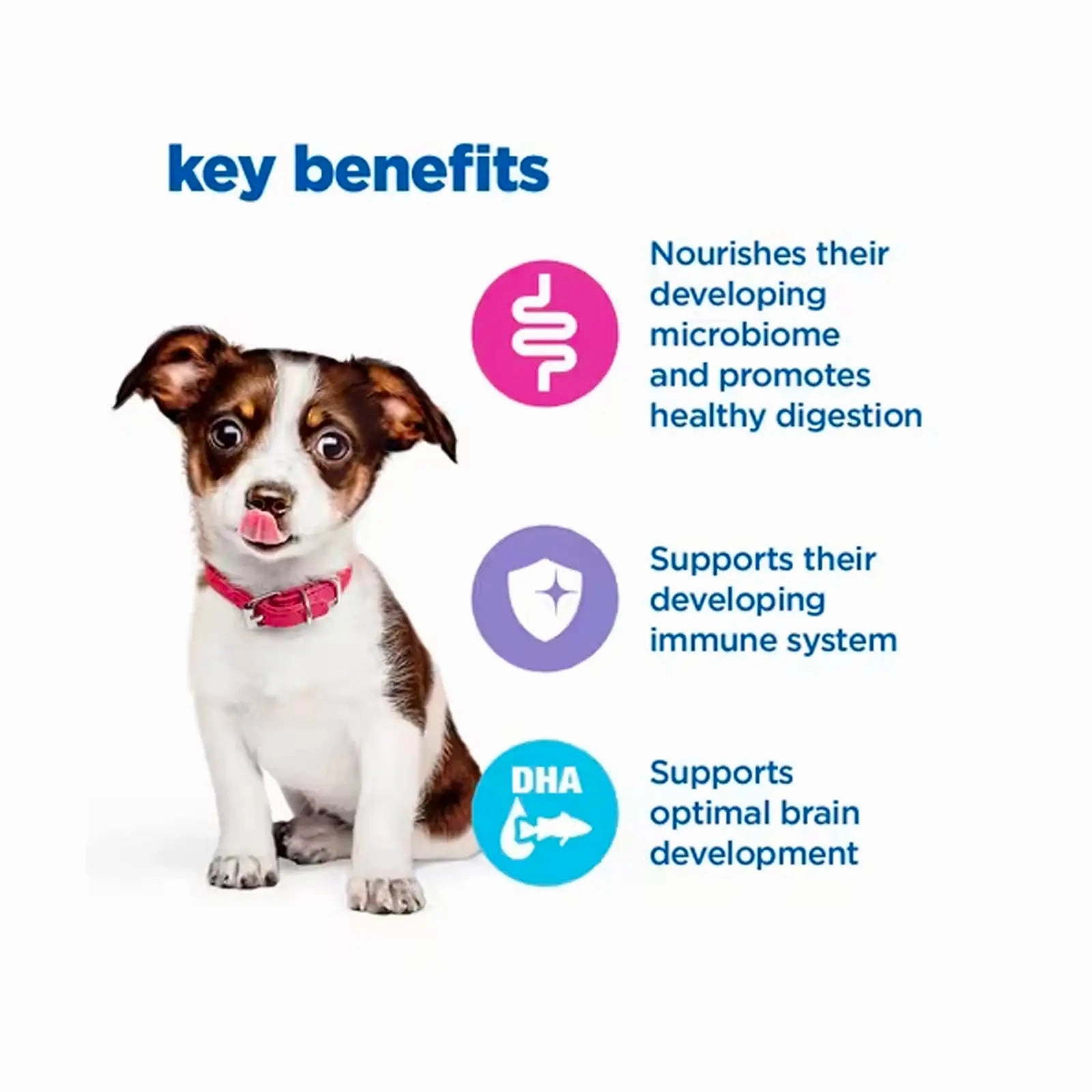 Hill's VetEssentials Diet - Canine Puppy Medium