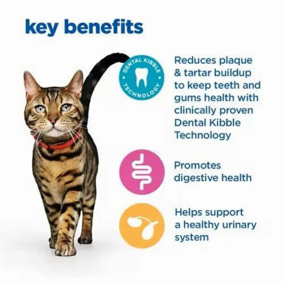 Hill's VetEssentials Diet - Feline Multi Benefit Dental Adult Dry Food