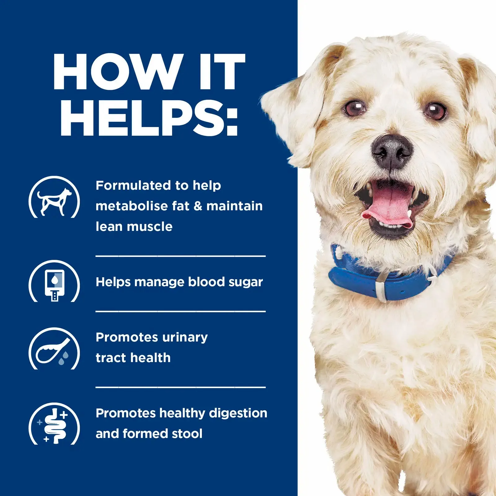 Hill's Prescription Diet - Canine w/d Digestive/Weight/Glucose Management