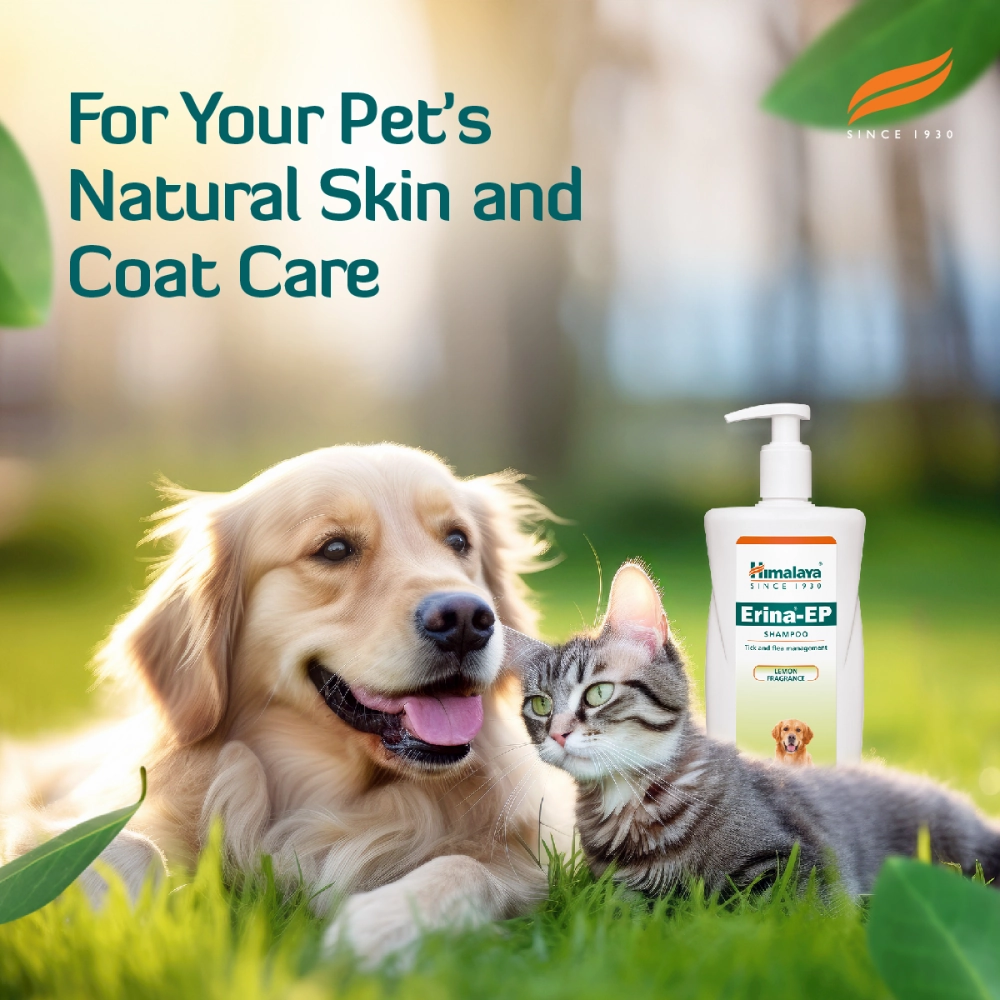 Himalaya Digestive Stimulant Digyton Drops and Erina EP Tick and Flea Shampoo for Dogs and Cats Combo