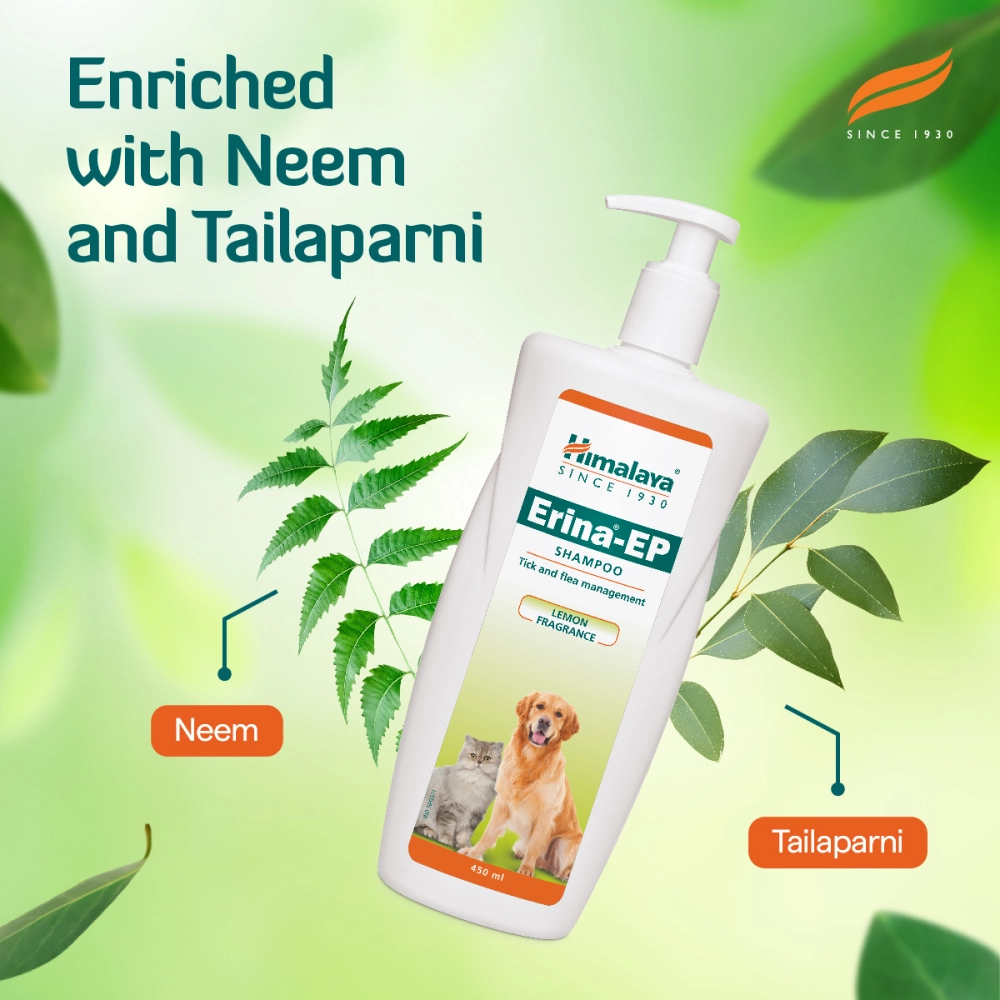 Himalaya Erina EP Tick & Flea Shampoo with Drools Absolute Calcium Supplement Tablets Dog Combo