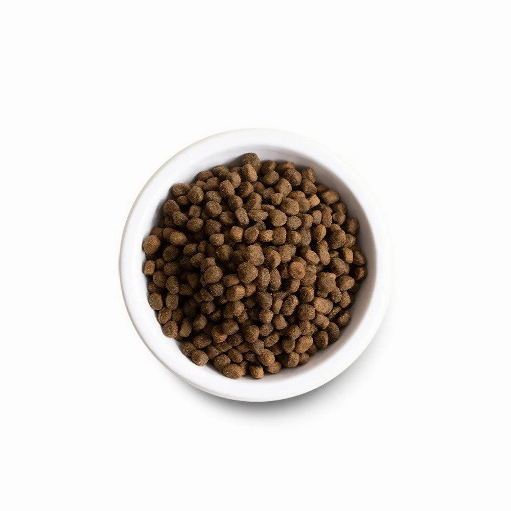 Homestead Turkey & Chicken Dog Dry Food