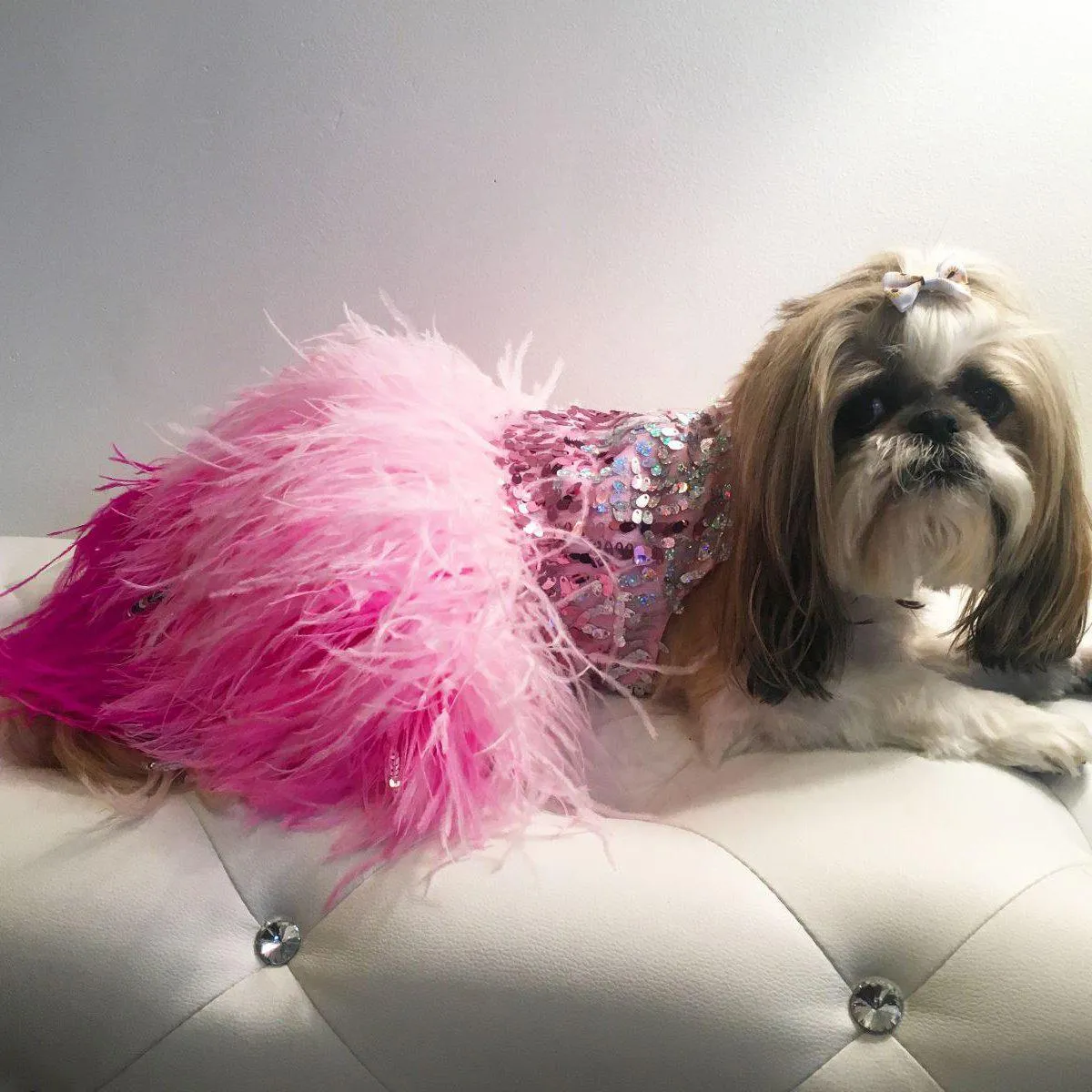 Hot Pink Ombre Feather Party Dog Dress