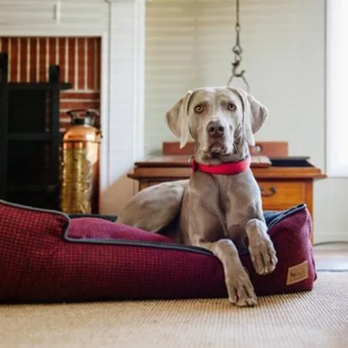 Houndstooth Lounge Dog Bed Cayenne Red