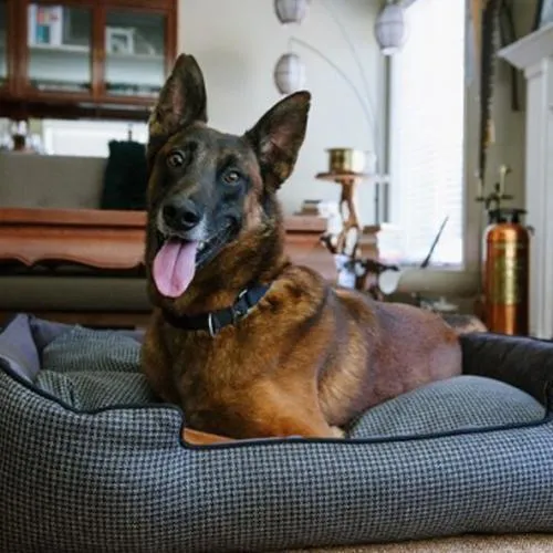 Houndstooth Lounge Dog Bed Shadow Grey