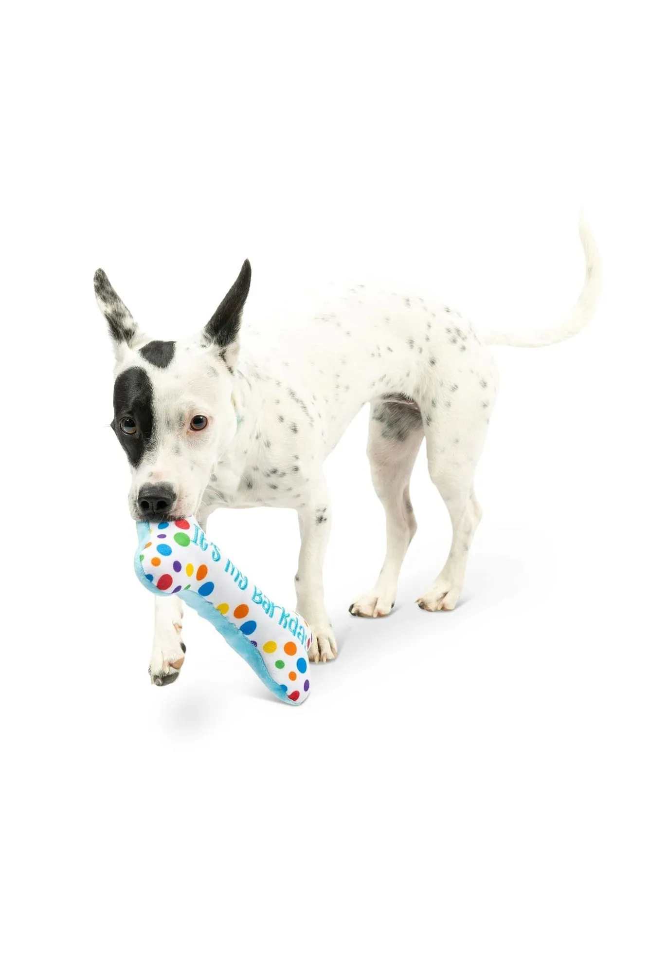 Huxley and Kent It's My Barkday Bone Dog Toy