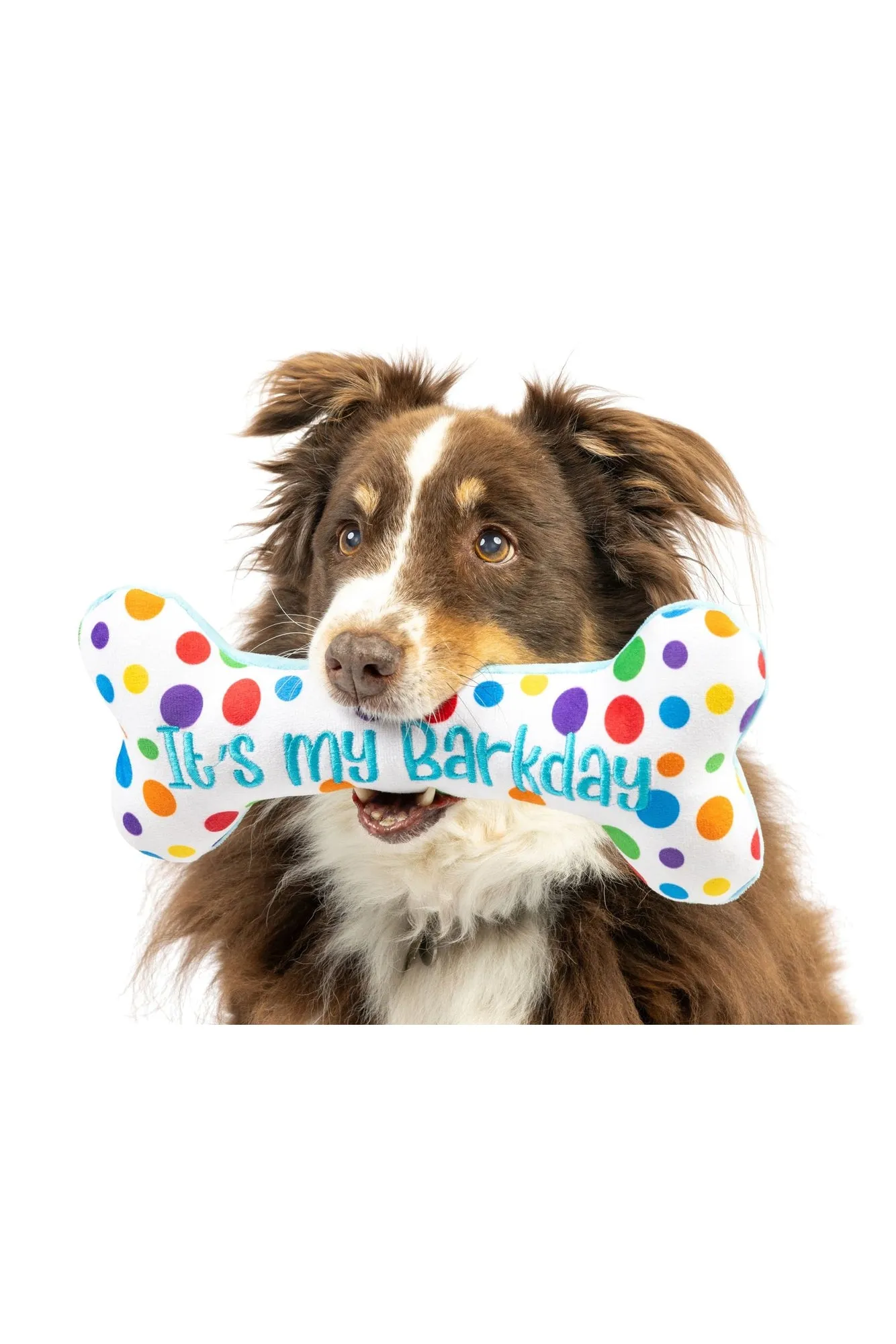 Huxley and Kent It's My Barkday Bone Dog Toy