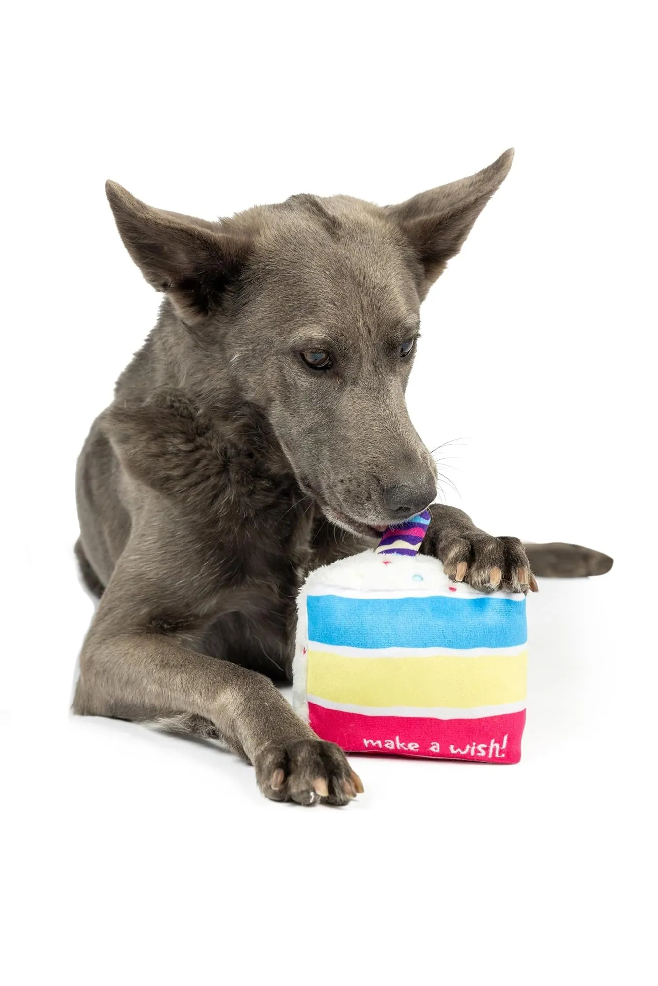 Huxley and Kent Make A Wish Plush Dog Toy
