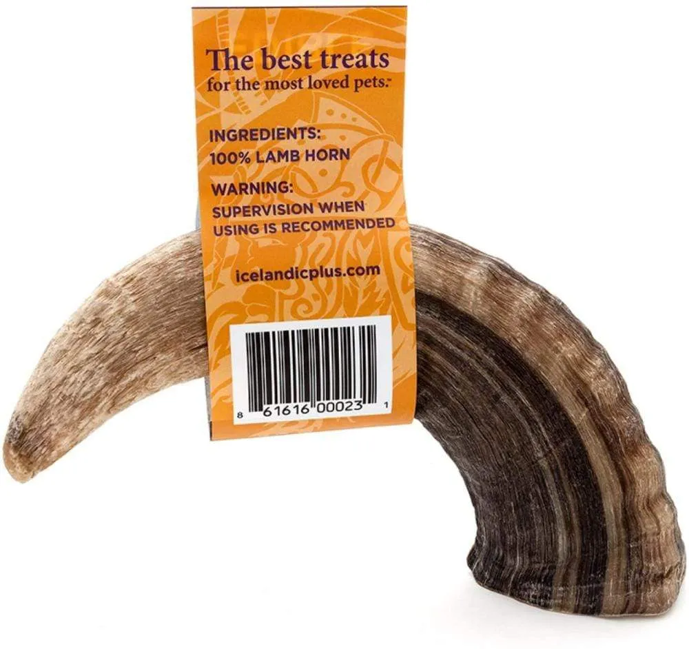 Icelandic  Large Lamb Horn Dog Treat