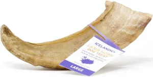 Icelandic  Large Lamb Horn Dog Treat