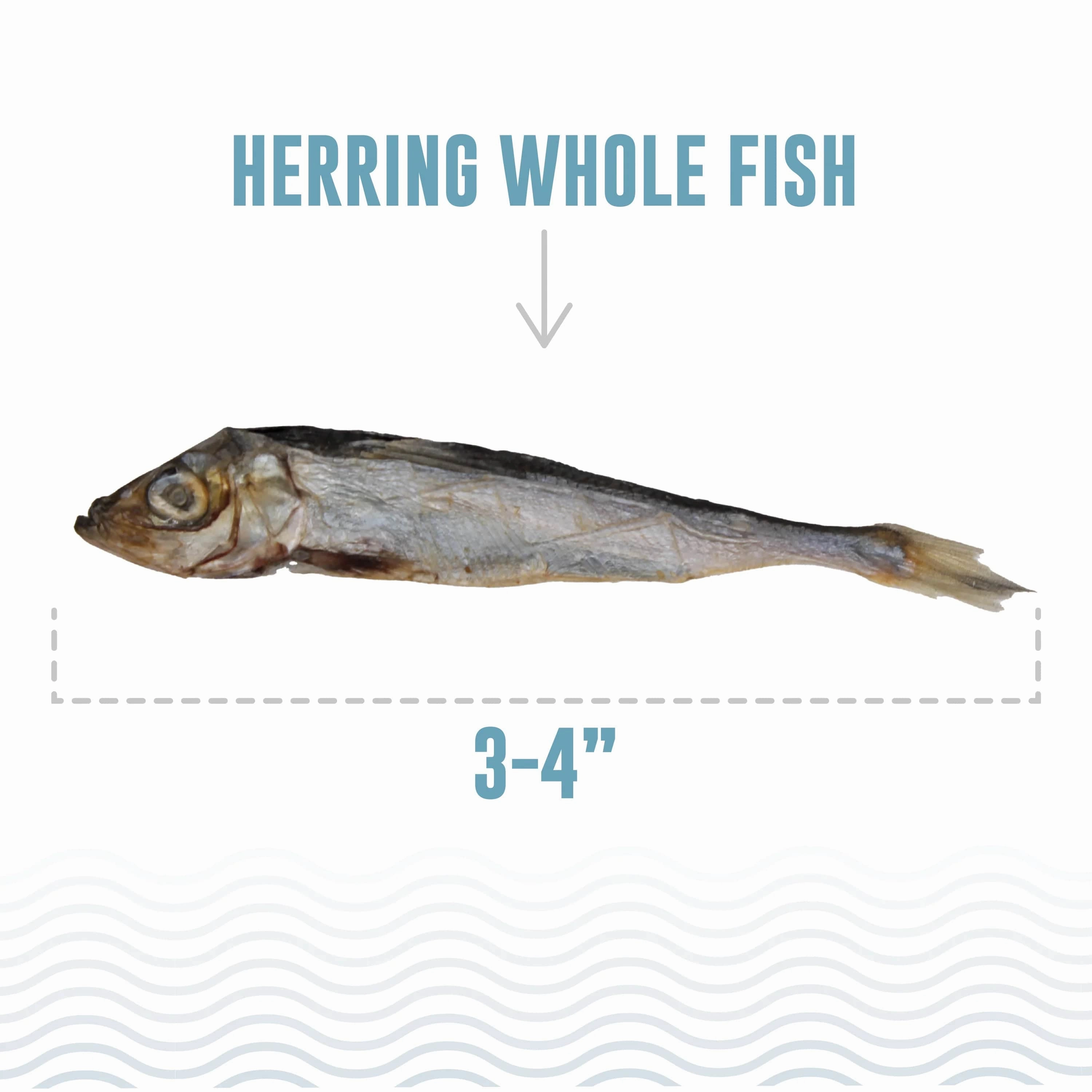 Icelandic  Herring Whole Fish Dog Treat (SPECIAL ORDER ITEM)