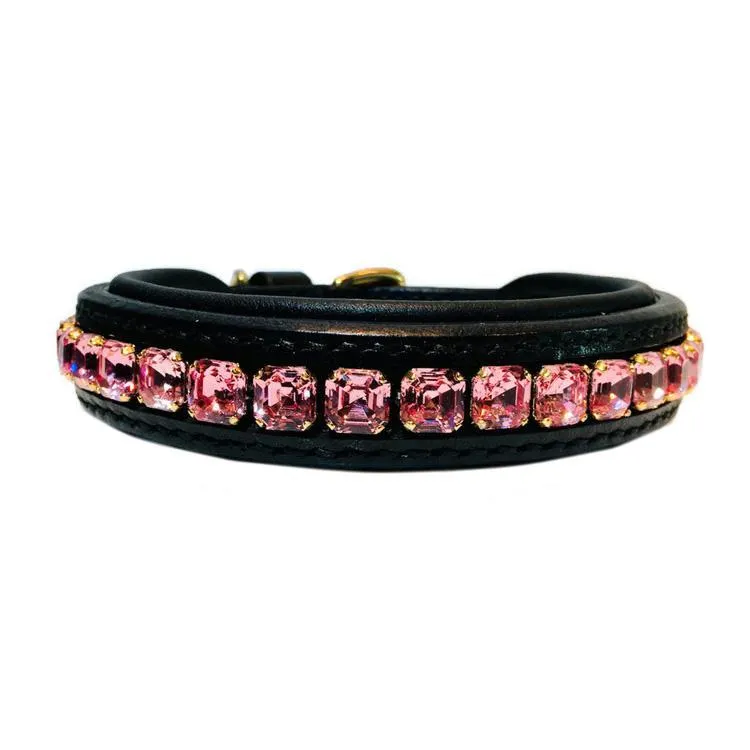 Imperial Dog Collar #1