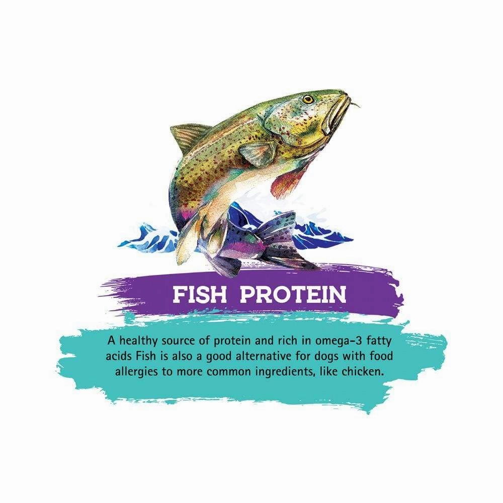 Inception Fish Recipe Dry Cat Food
