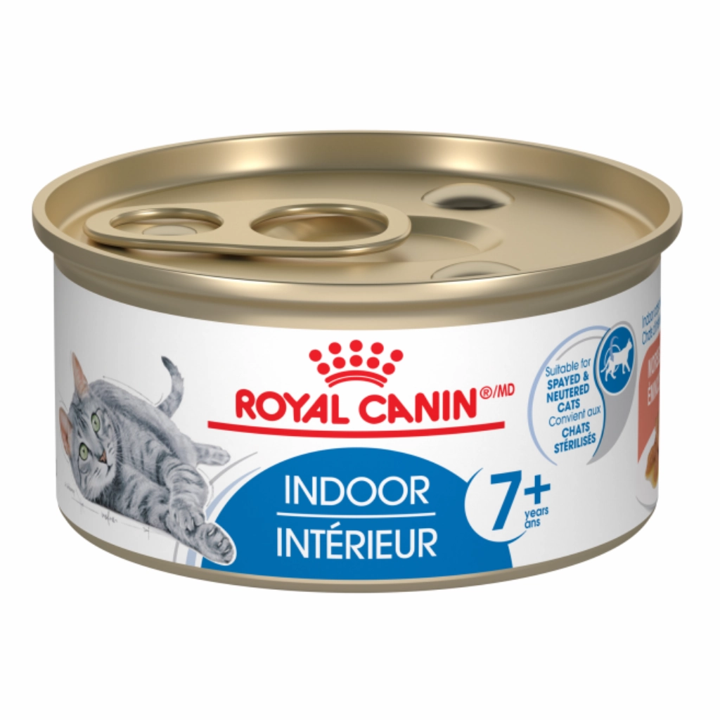 Indoor  7 Morsels