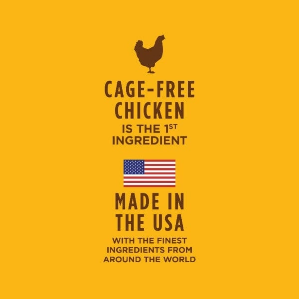 Instinct Healthy Cravings Real Chicken Recipe Dog Food Pouch