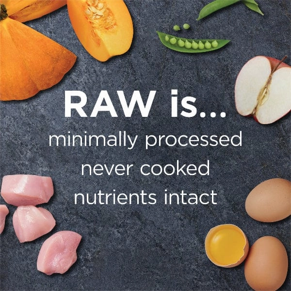 Instinct Raw Boost Real Chicken Gut Health Recipe Dry Dog Food, 3.5lb