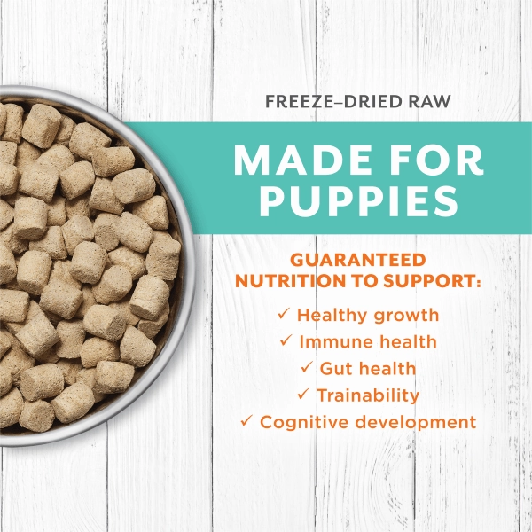 Instinct Raw Longevity Chicken Recipe 100% Freeze Dried Puppy Food