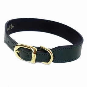 Italian Leather Dog Collar Hunter Green/Gold