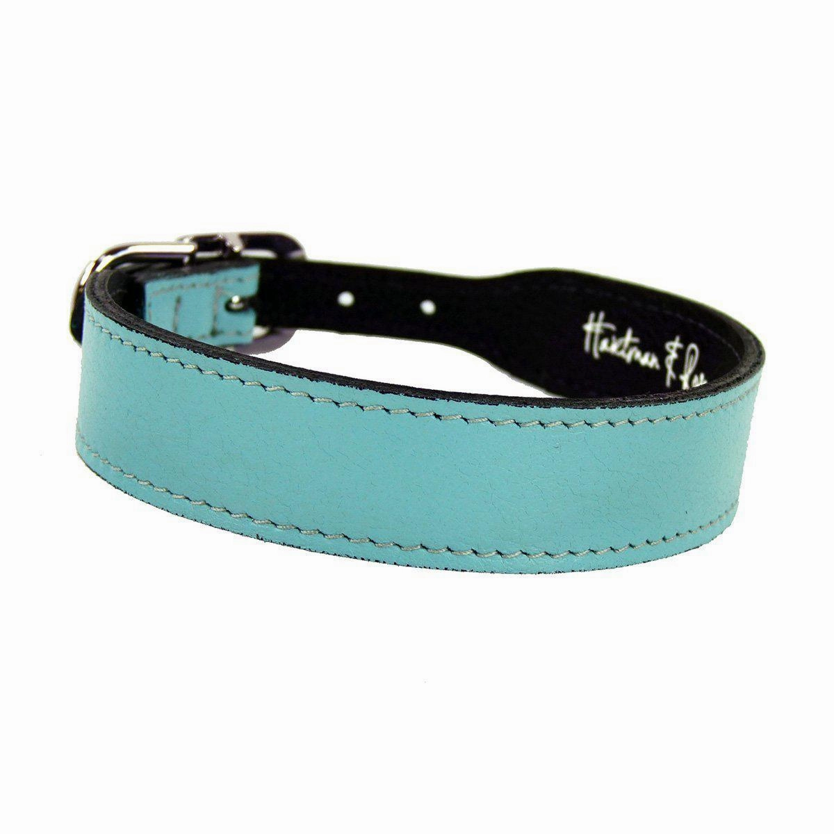 Italian Leather Dog Collar Turquoise/Nickel
