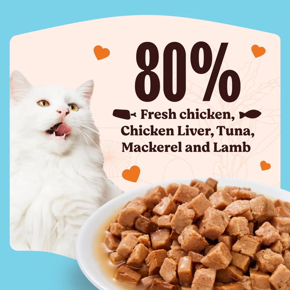 Kennel Kitchen Fish Gravy All Life Stage Wet Food, Scoopy Lavender Natural Brown Sand Cat Litter Combo