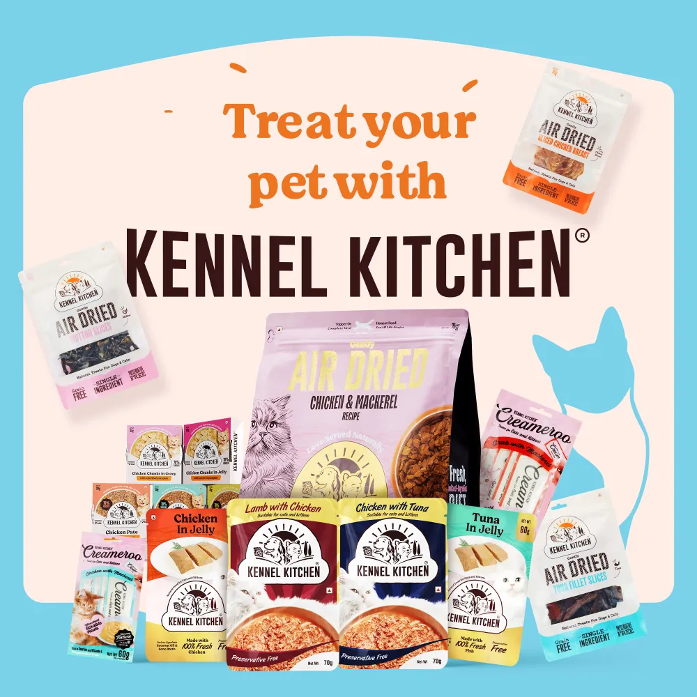Kennel Kitchen Fish Gravy All Life Stage Wet Food, Scoopy Lavender Natural Brown Sand Cat Litter Combo