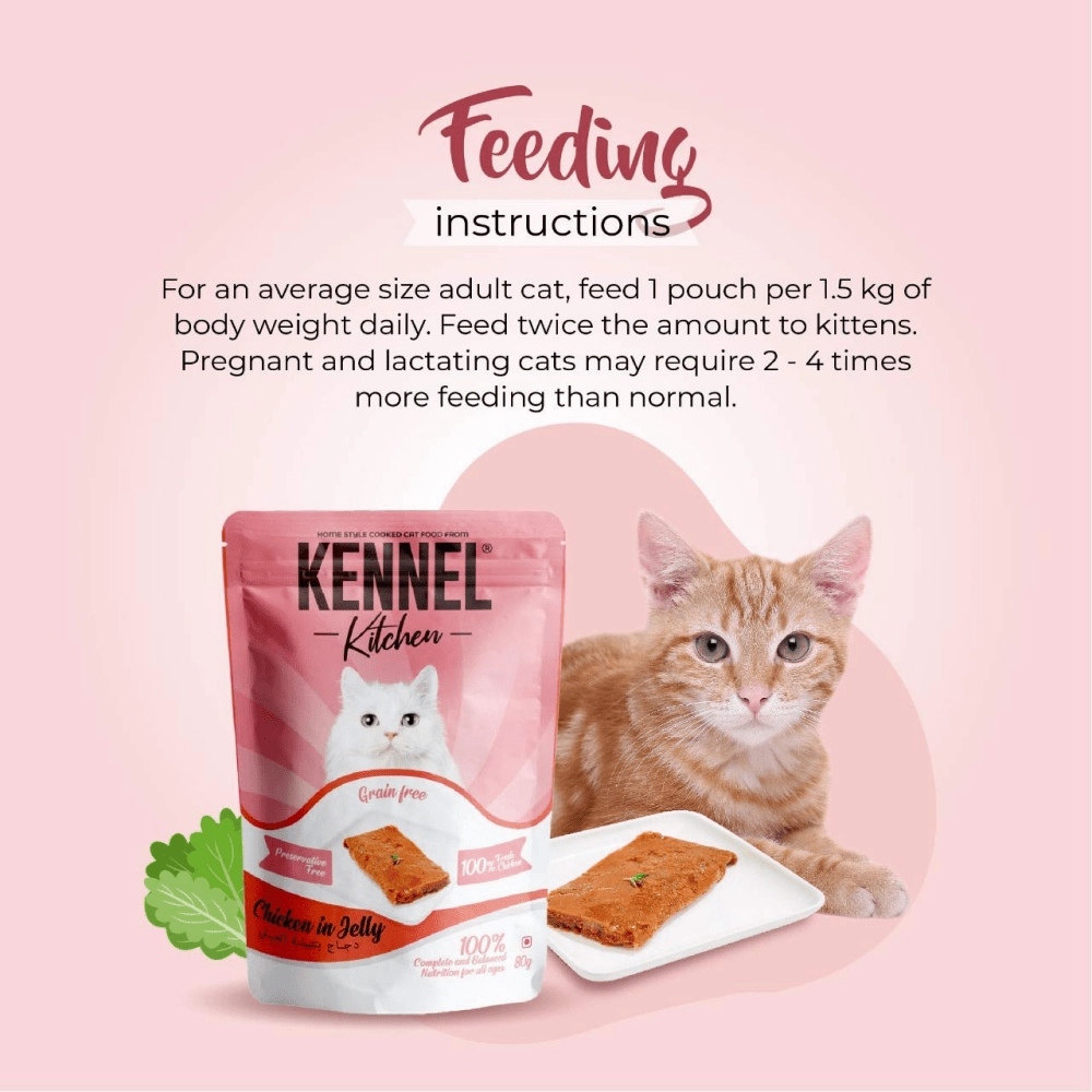 Kennel Kitchen Chicken in Jelly Wet Food and Creameroo Chicken with Mackerel Creamy Treats for Cats Combo