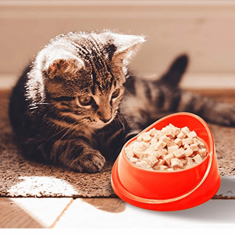 Kennel Kitchen Fish Chunks in Gravy Kitten and Creameroo Chicken with Mackerel Creamy Cat Treats Combo