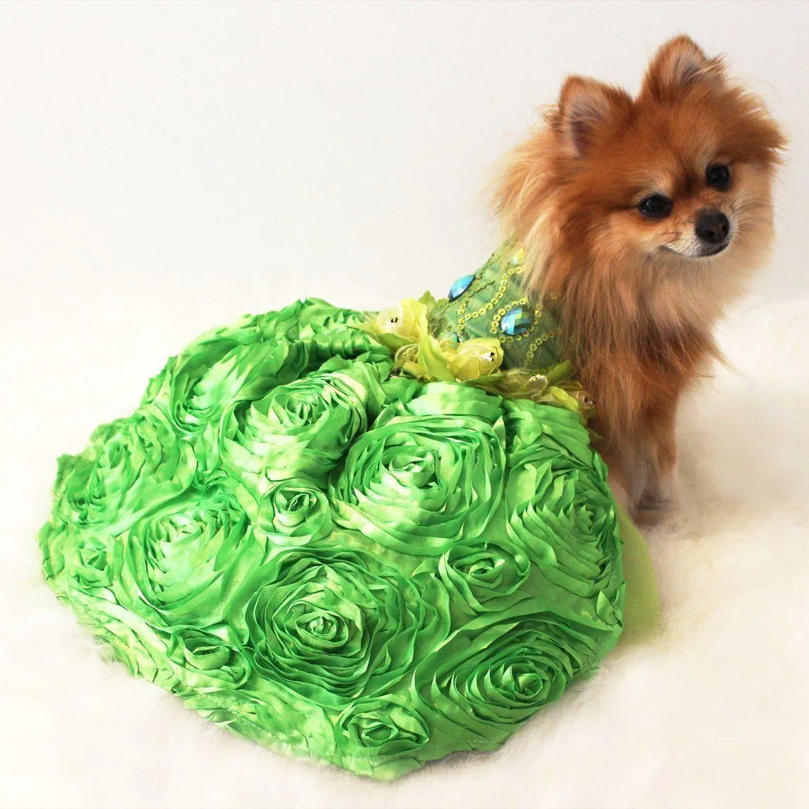 Key Lime Green Sequin Taffeta Dog Gown