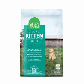 Kitten