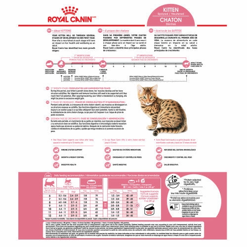 Kitten Spayed/Neutered