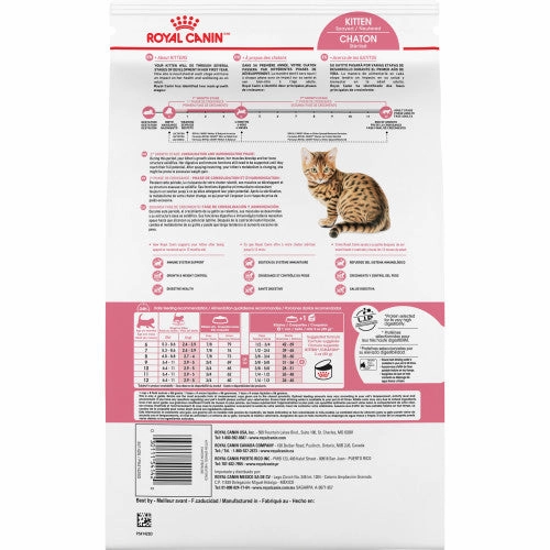 Kitten Spayed/Neutered