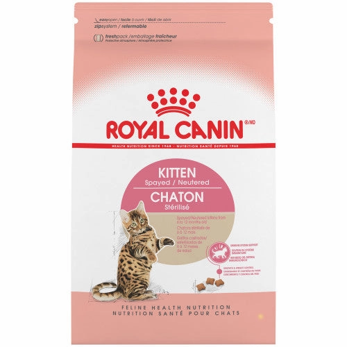 Kitten Spayed/Neutered