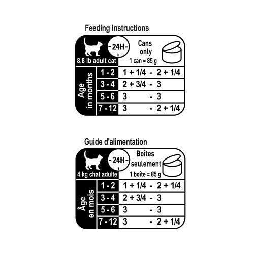 Kitten Thin Slices