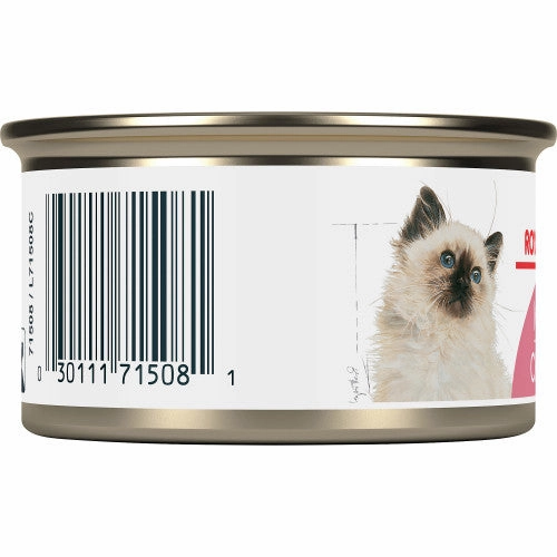 Kitten Thin Slices