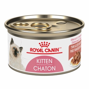 Kitten Thin Slices