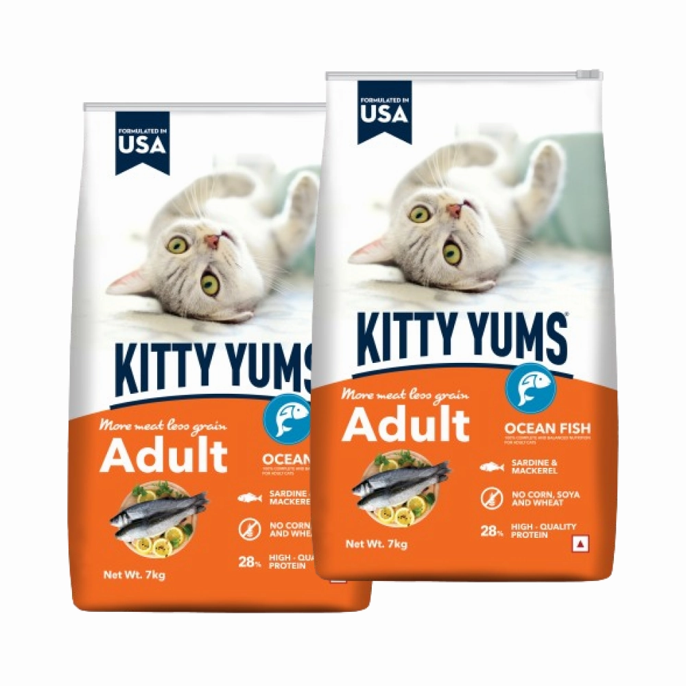 Kitty Yums Ocean Fish Adult (1  years) Cat Dry Food