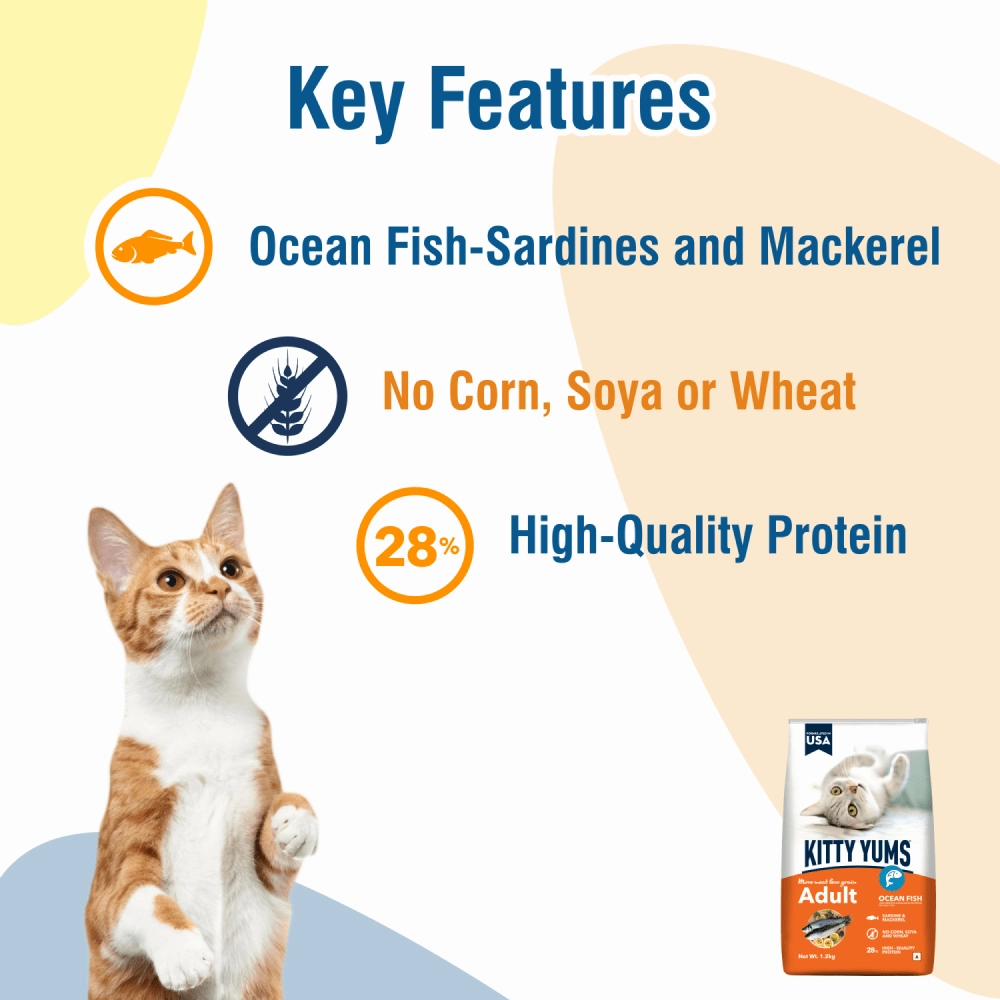 Kitty Yums Ocean Fish Adult (1  years) Cat Dry Food